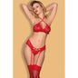 Sofia 4 Pc Bra Garter Thong & Stocking Set Red-31080-RED-L/XL