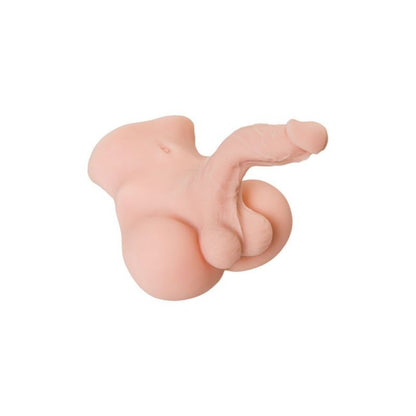 Anal and Balls Torso-893050