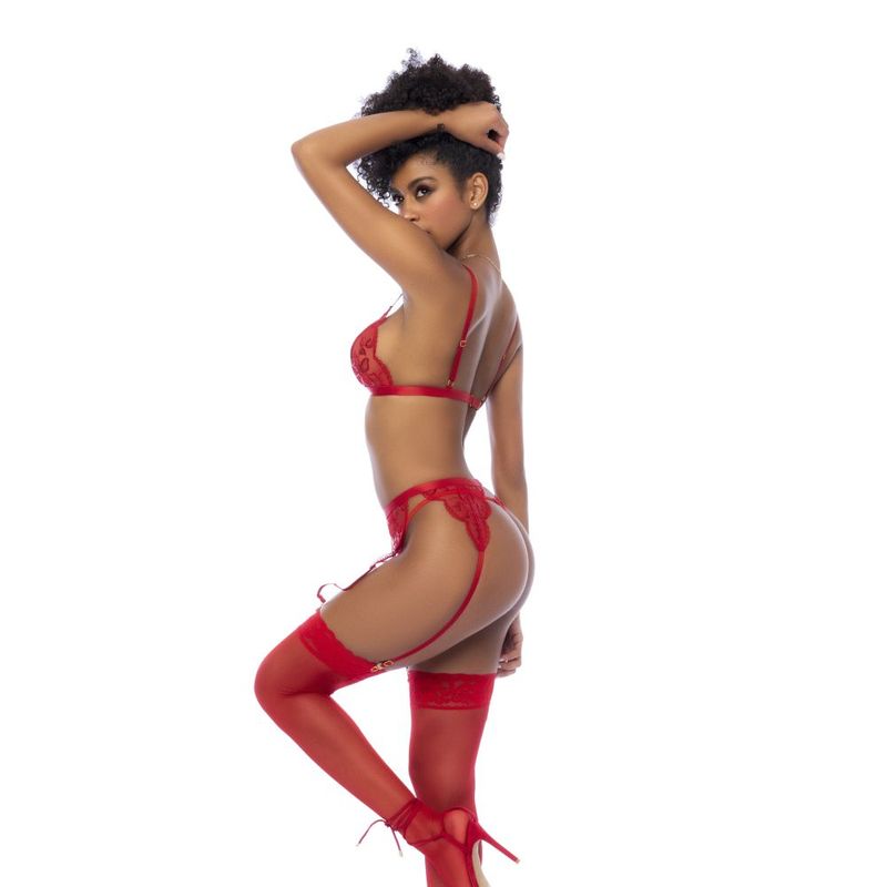  Garter Belt and Thong-8893-RED-L/XL