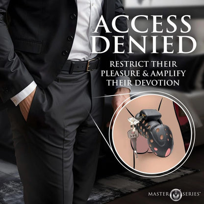 Lock Down Chastity Cage-AH599