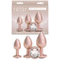 Rear Assets Trainer Kit - Iridescent Champagne - Iridescent Champagne Metallic Butt Plugs - Set of 3 Sizes-NSN-0960-06